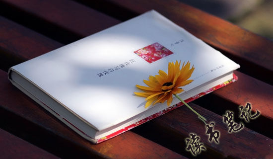 《见识》读书笔记范文