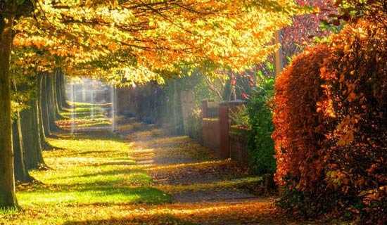 �����̷�ģ������