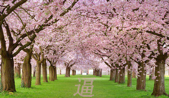 �Ʋ����Ĺ���