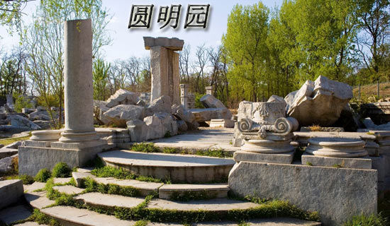 大仲马《三剑客》读后感范文