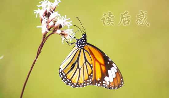 ���ܶ�������ʱ���Ĵ��졷����з���450��