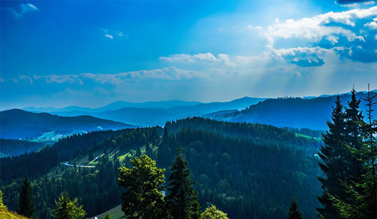 ����Զ�еı�����,����һ���ǻ۵�����������