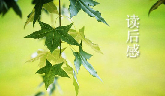 《卓越员工工作准则》读后感范文