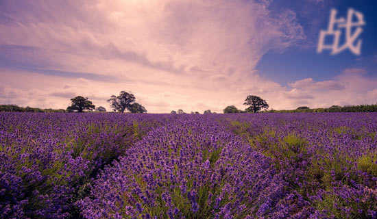 战地黄花友谊诗歌