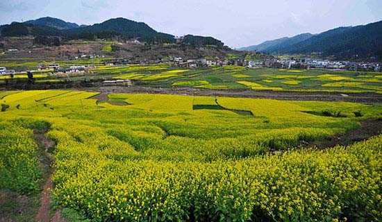 ���С��ʫ��