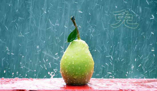 �����͵ĸ��