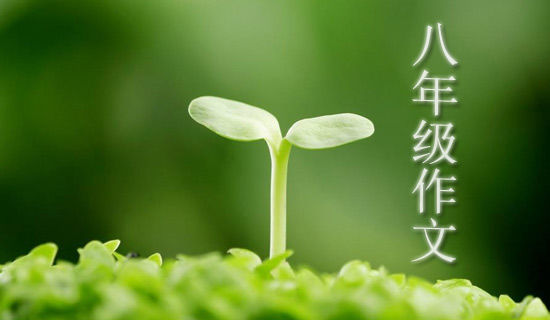 我和老爸成语接龙大比拼五年级作文