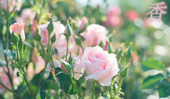 �㴻������ʾ����