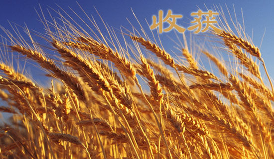 ��������һ�����ջ���������