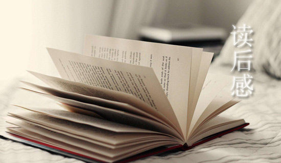 绘本《我不知道我是谁》读后感