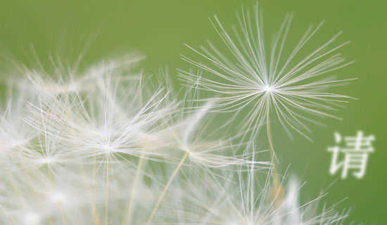 ������Ƕ�һ�㰮�Ķ�ƪʫ��