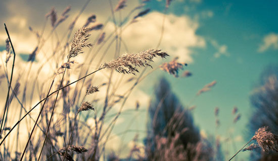 观看《开学第一课》有感1200字