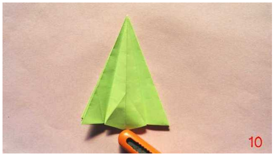 ʥ�����ֹ���ֽ������