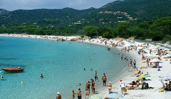 �������ʵ�����鱨��ķ���