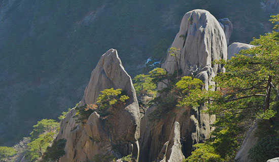 ʯͷ�ļ�ֵ����