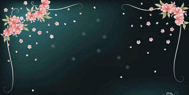 �ڰ屨����ͼ��