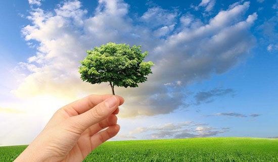 ������ɽ����������