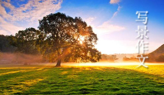 �������ǰ��ƺ�����