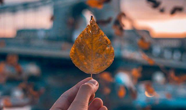 ���鲻�õĶ���˵˵