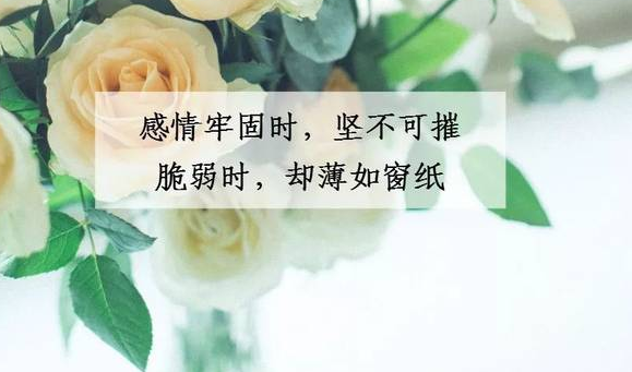 ΢�Ÿ������ǩ��