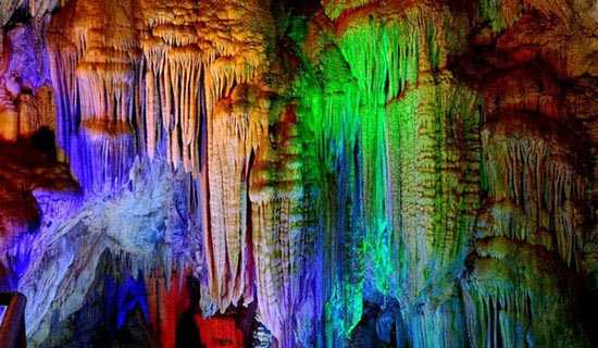 《溶液》说课稿范文