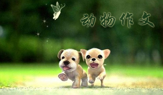 ��������ӭ������Сѧ����