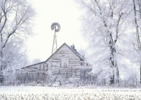 ��������˵˵