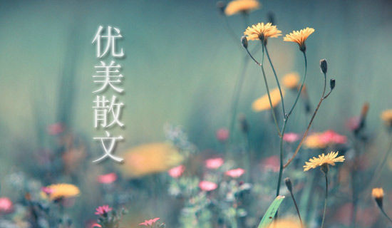 �仨��������ɢ��