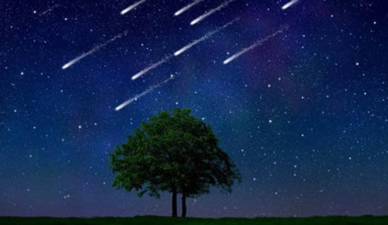 ����ҵ��������