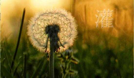 ��ľ���е�����Ӣ�Ķ�ƪС˵