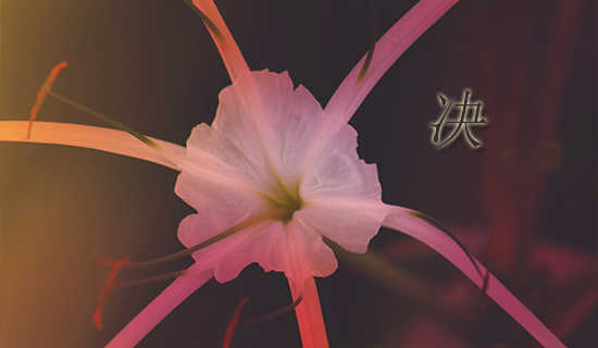 ��������ʱ,�����Լ������˵ļ�ʵ����