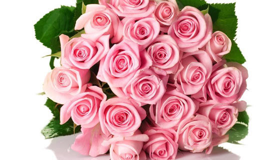 ��������ʶ���������������