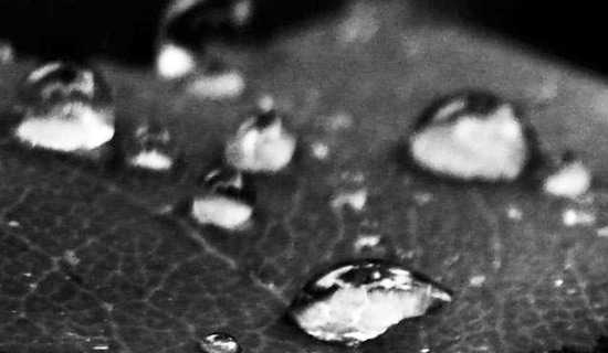 �ڰ��µ�·�ڰ���ʫ��