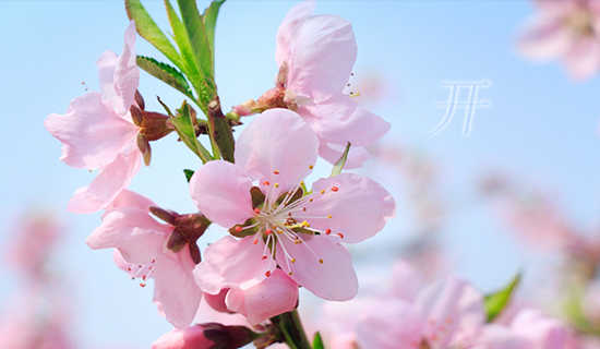 ��ѧ��һ���ռǾ�ѡ���Ĳο�