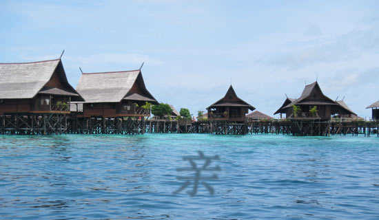 �����ǿ����ֱ����ɢ��