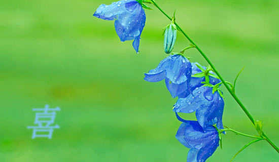 ϲ��ǧ��ף����