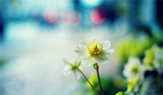 д�����ѵ��������