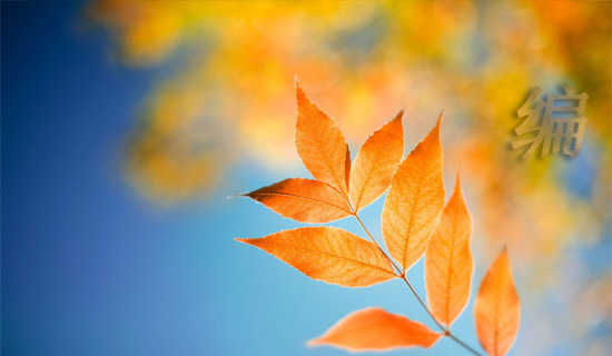 ����֯������˵�θ�