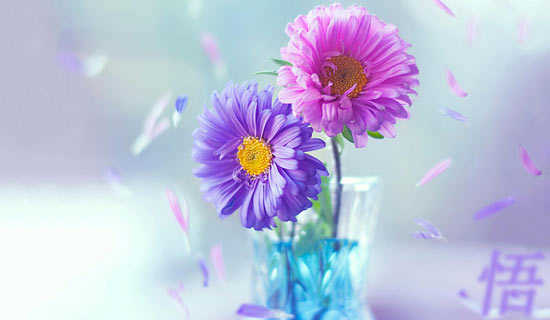 Îò¶Á´óѧµÄÈÕ¼Ç