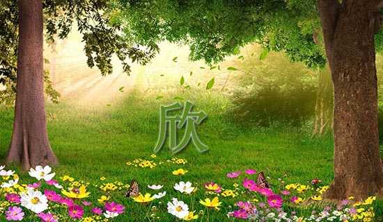 ���������ռ�