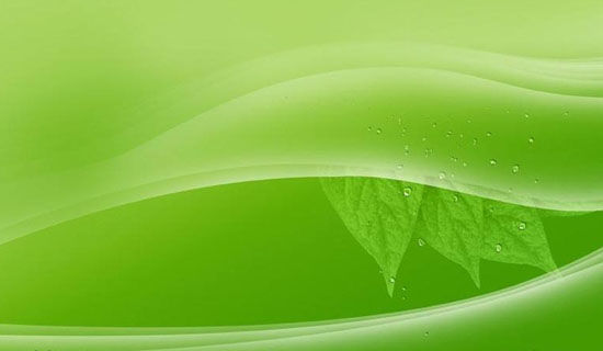 ��̩���������600��