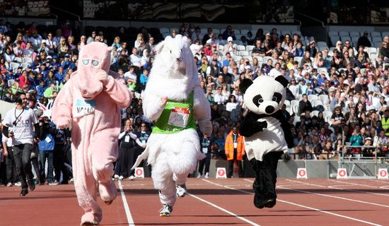 �˶������Сѧ�ܼ�550��