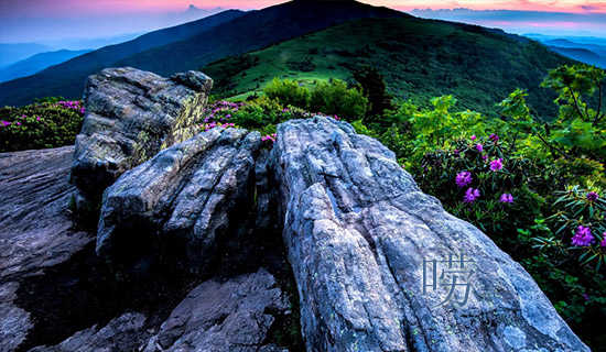 ���ƴ�����������