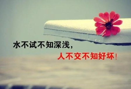 ����Ȧ�簲��˵˵