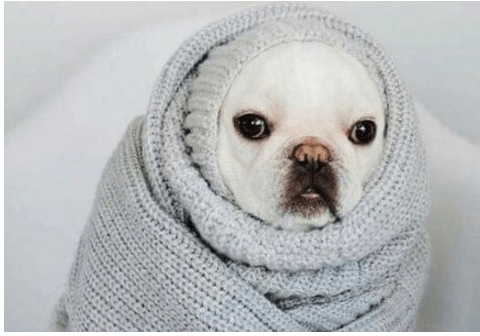 ������Ĭ˵˵