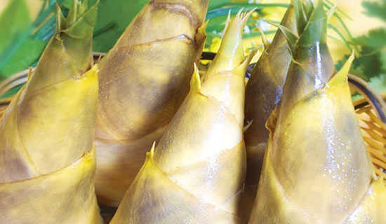 ����ѿ������һ��ʱ˵�θ�