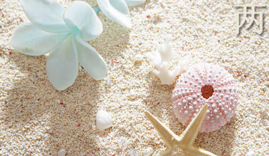 《两位数加整十数和两位数加一位数》说课稿