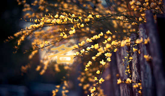 �������ĸ�д���Ľ�ѧ��˼