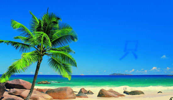 ֻҪ�����к�,���ﶼ�����������������