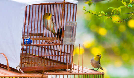 �����򡷸��